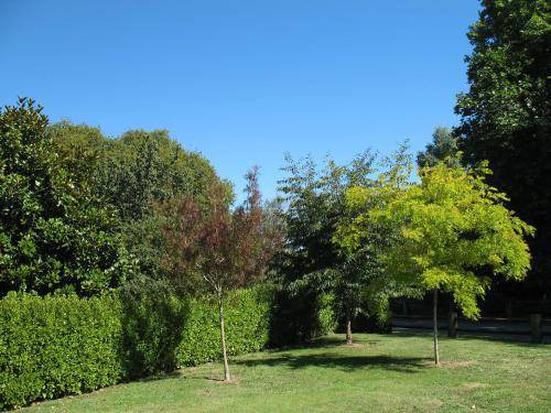Photo of Outdoor in Karapiro