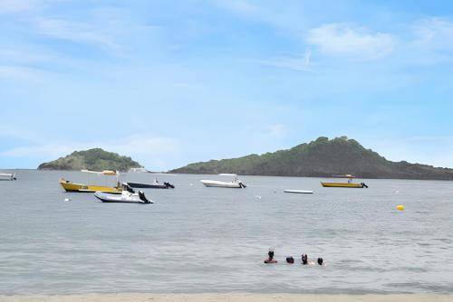 Photo of Others in Marigot