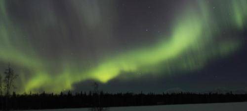 Photo of Others in Trapper Creek
