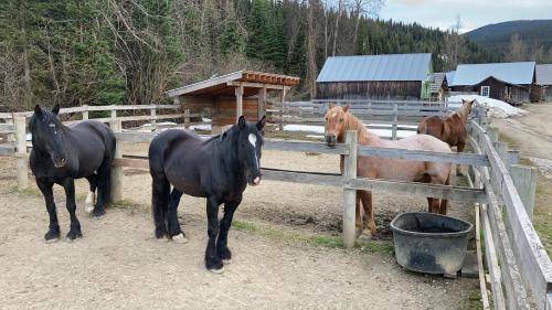 Photo of Others in Barkerville