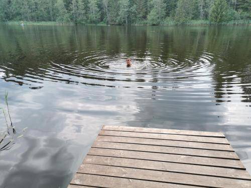 Photo of Others in Karksi-Nuia