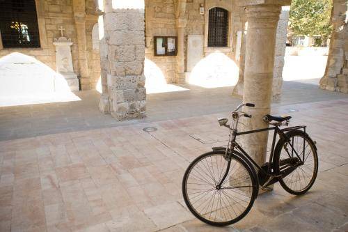 Photo of Others in Larnaca