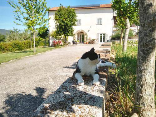 Photo of Others in Caiazzo