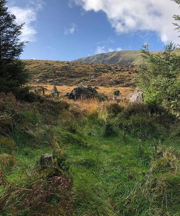 Photo of Others in County Waterford