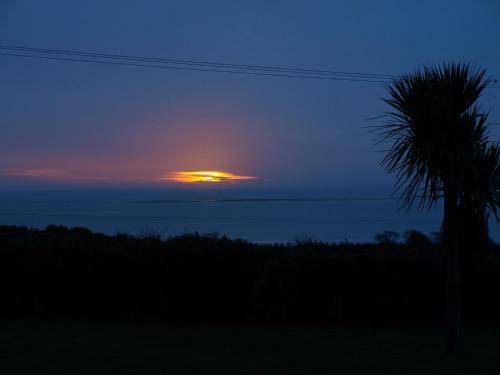 Photo of Others in Wexford