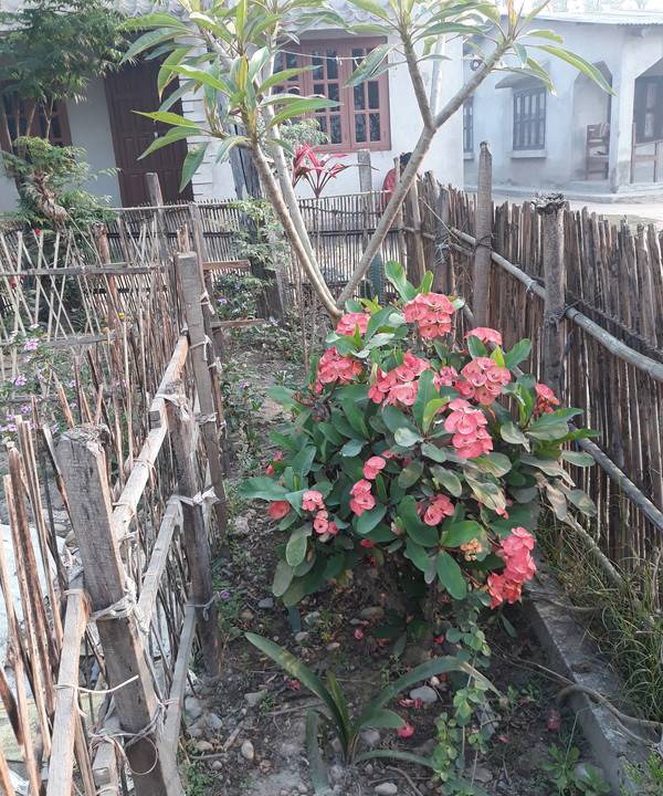 Photo of Others in Namarjung
