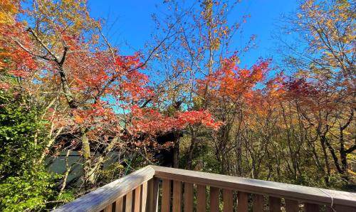 Photo of Others in Hakone