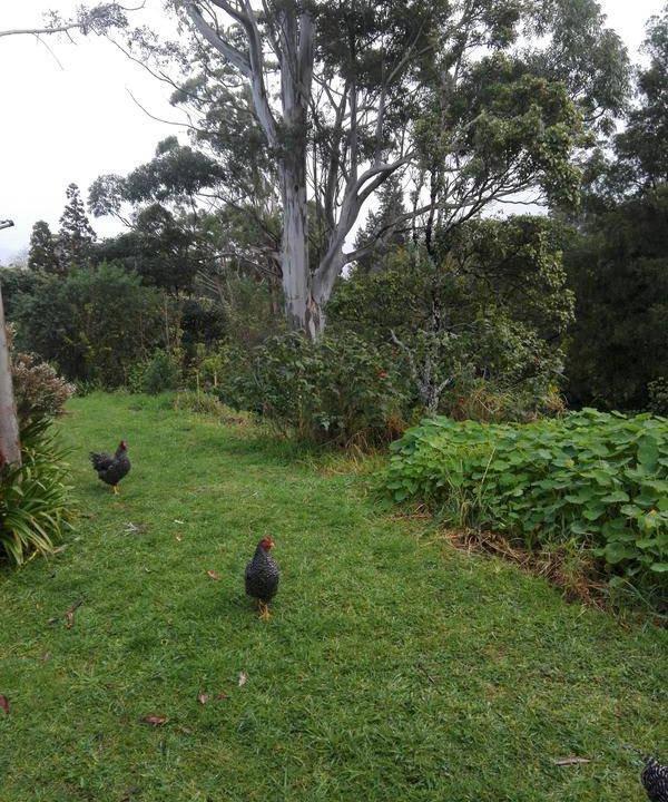 Photo of Others in Katikati
