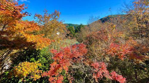 Photo of Others in Hakone