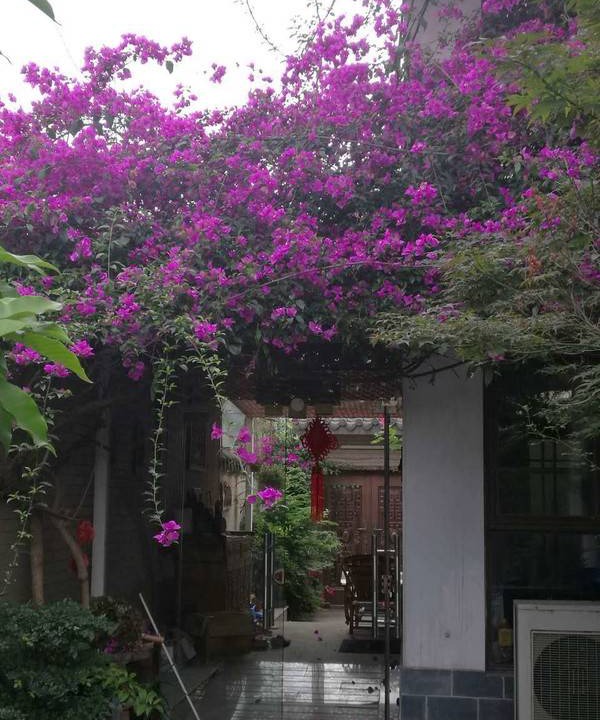Photo of Others in Shuangliu District