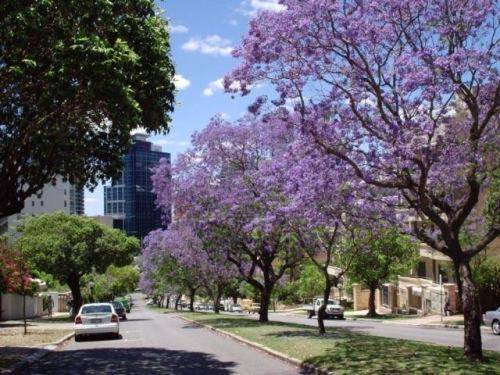 Photo of Others in West Perth