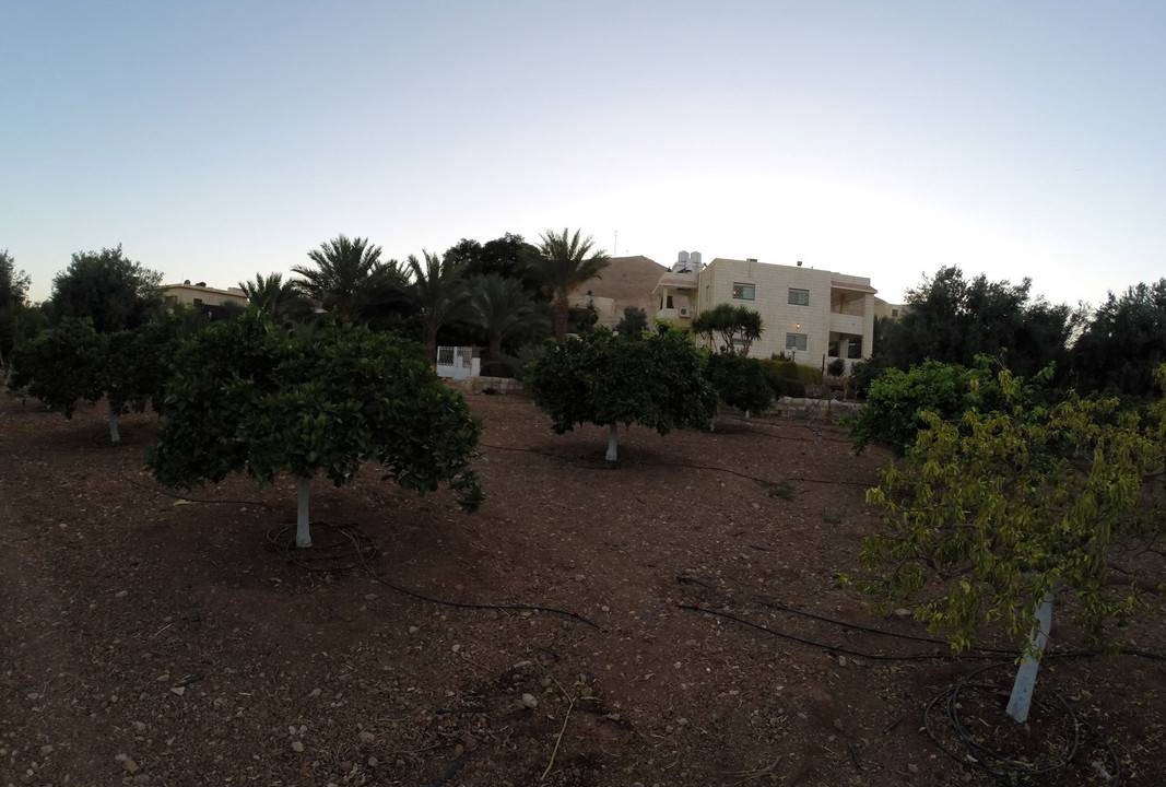 Photo of Others in Jericho
