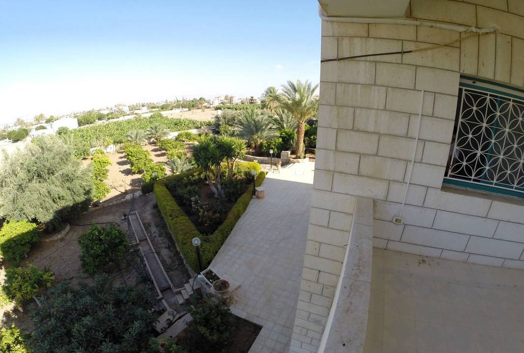 Photo of Others in Jericho