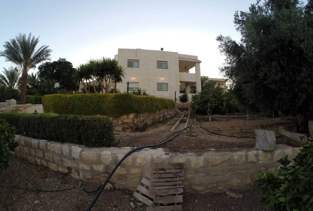 Photo of Others in Jericho