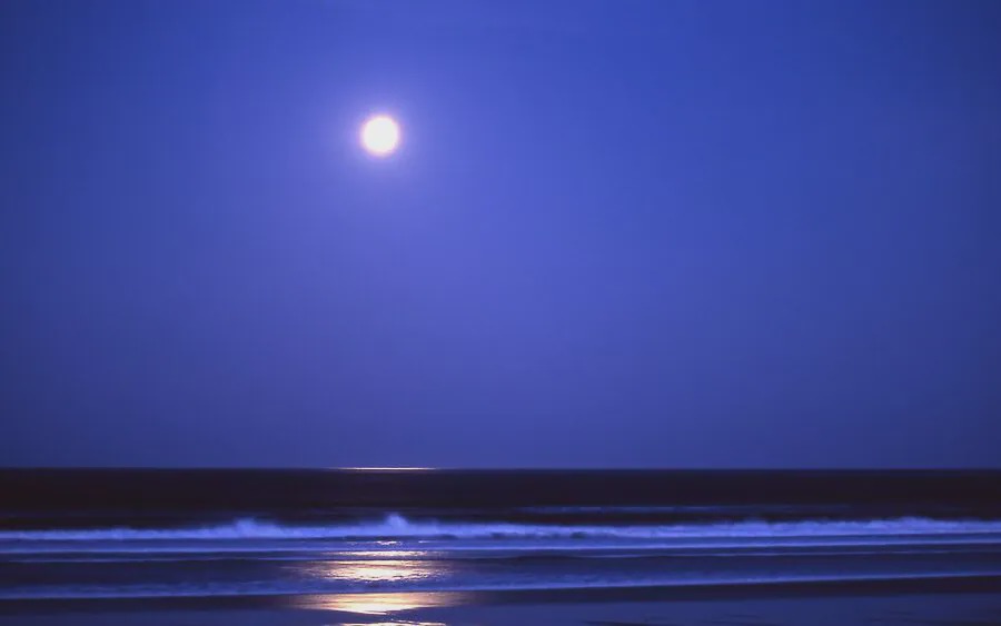 Photo of Others in Manzanita
