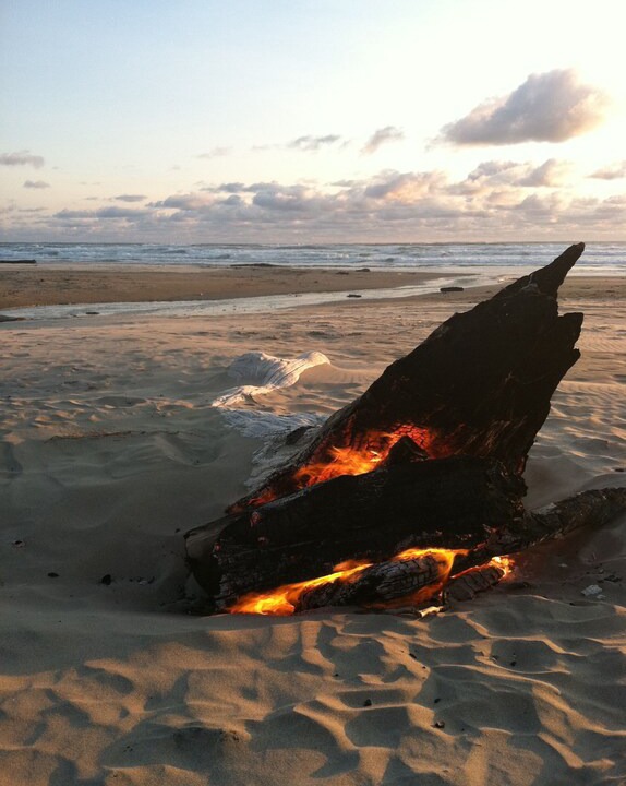 Photo of Others in Manzanita