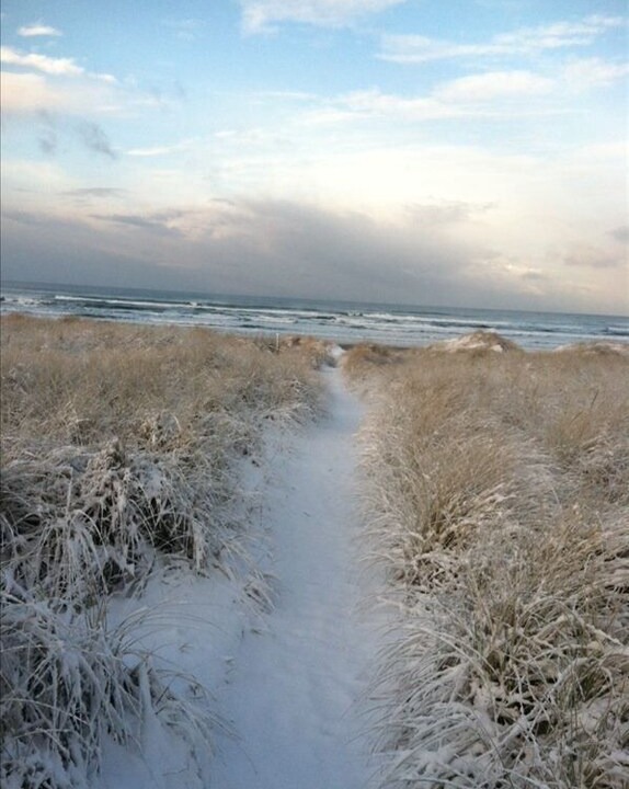 Photo of Outdoor in Manzanita