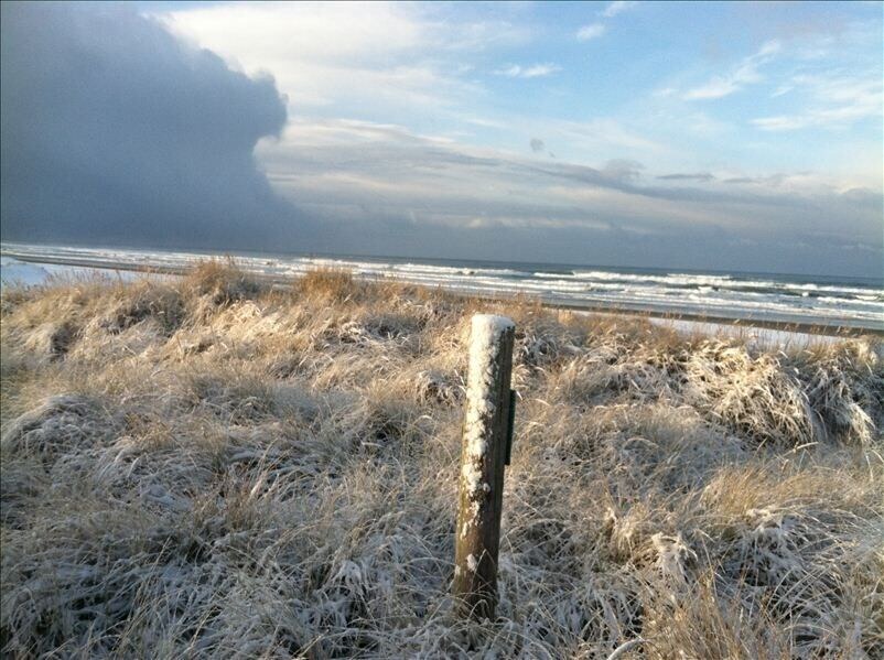 Photo of Outdoor in Manzanita