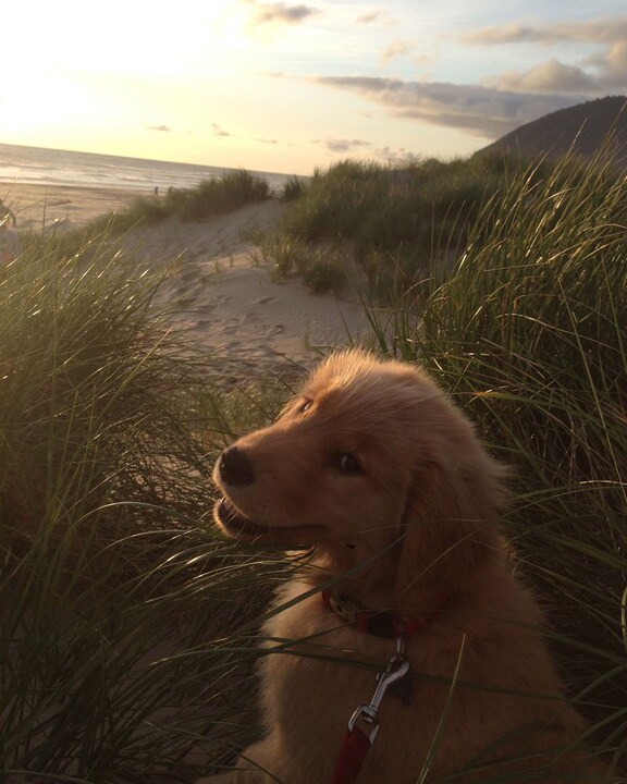 Photo of Others in Manzanita