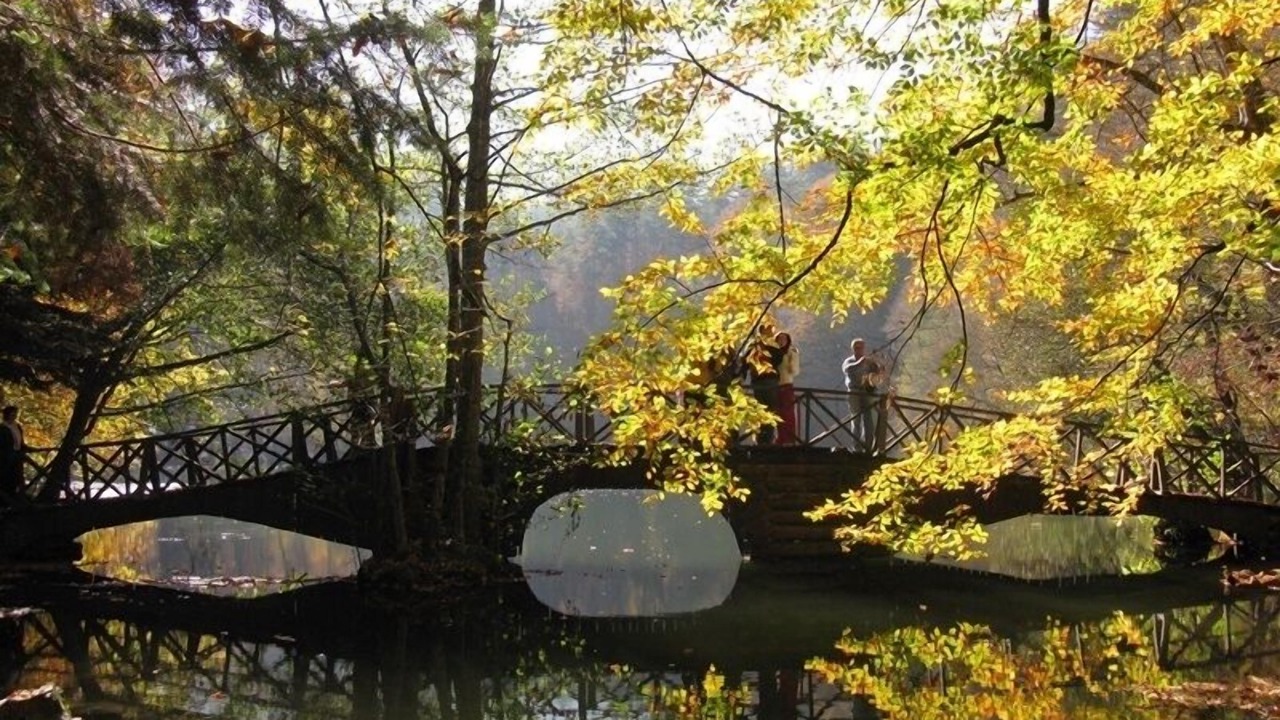Photo of Others in Bolu