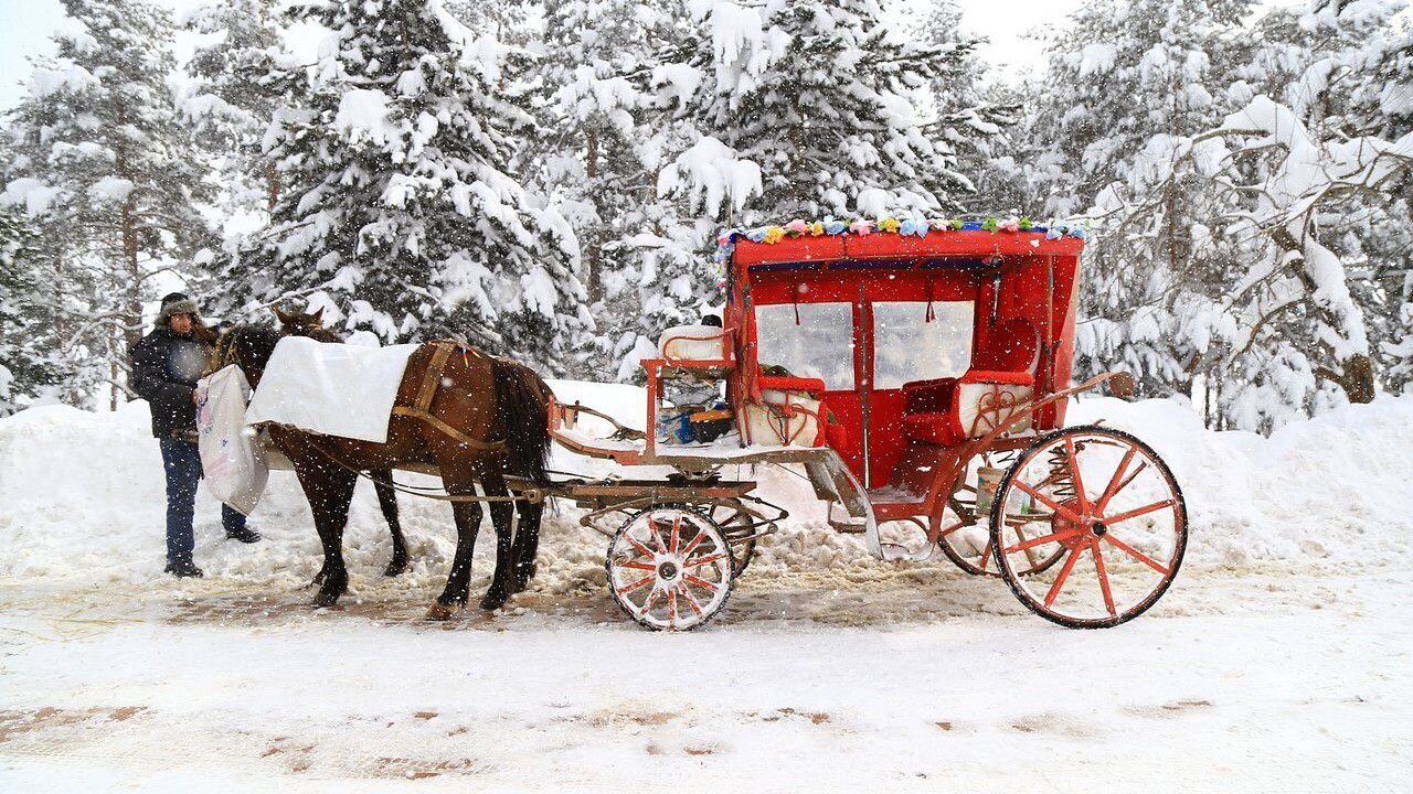 Photo of Others in Bolu