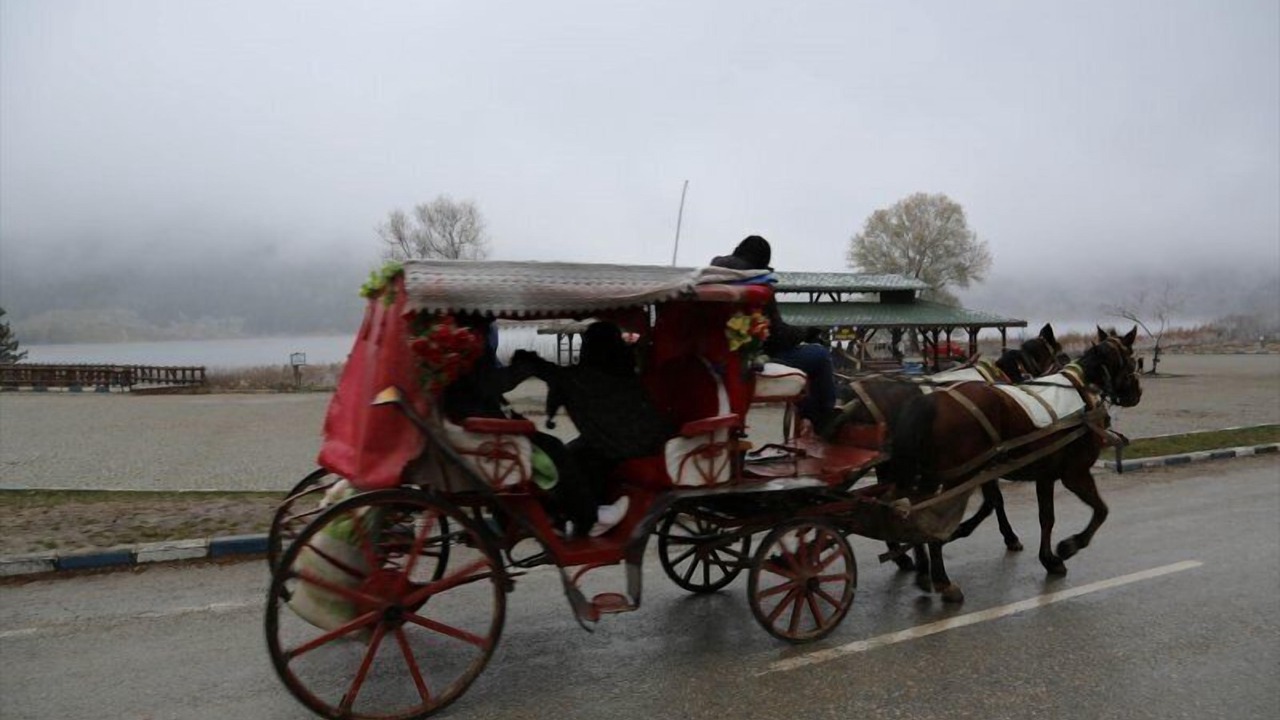 Photo of Others in Bolu
