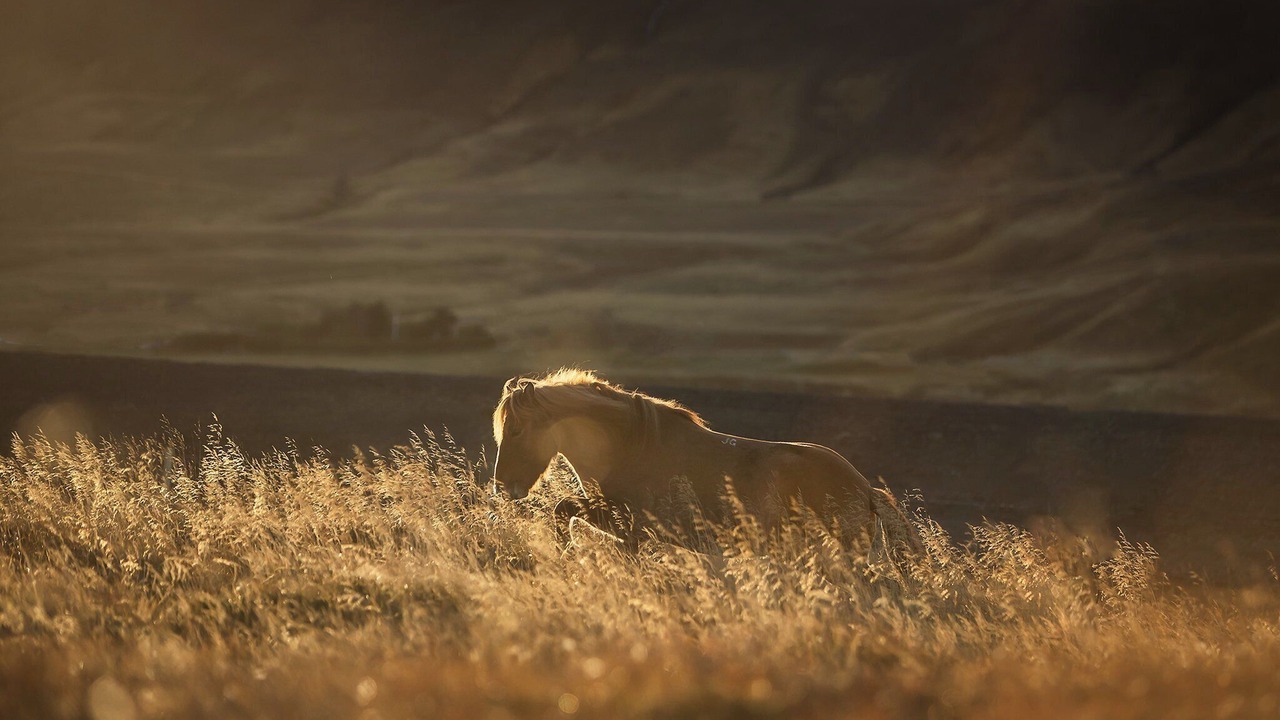 Photo of Outdoor in Thorfinnsstadir