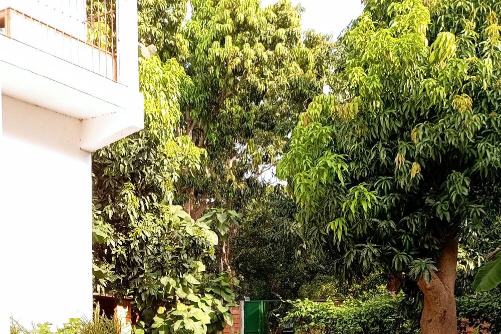 Photo of Outdoor in Casamance