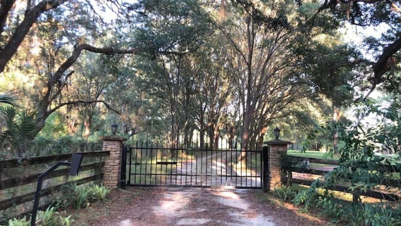 Photo of Outdoor in Micanopy