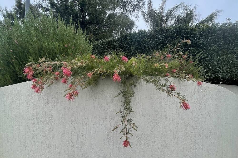 Photo of Outdoor in Hillvue