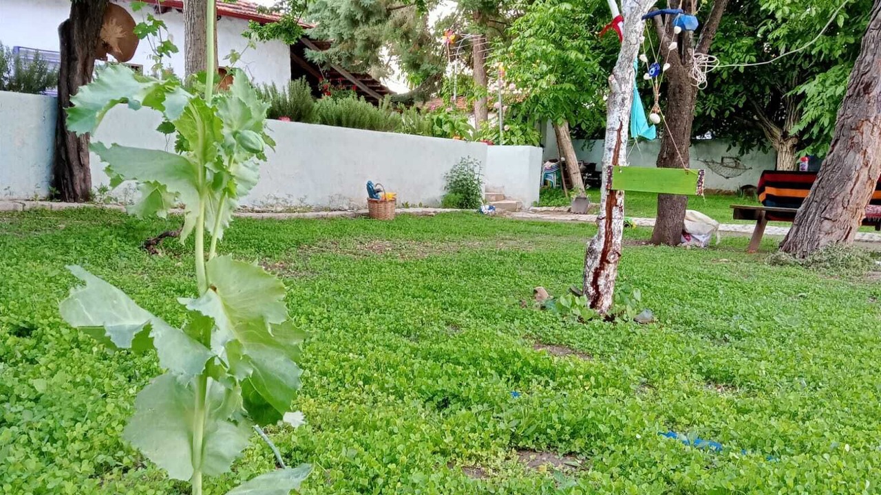 Photo of Outdoor in Yesilova