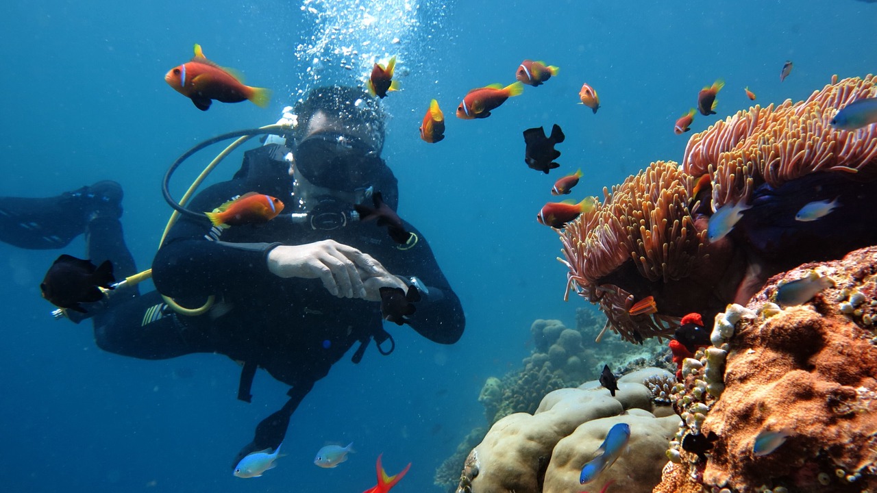 Photo of Others in Maafushi