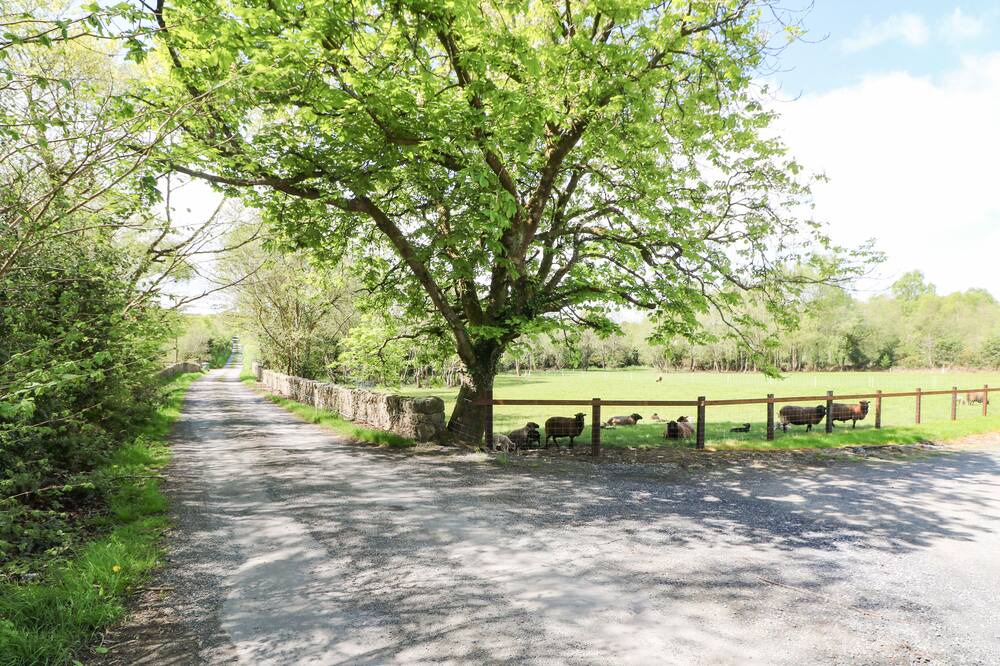 Photo of Outdoor in Ballindaggan