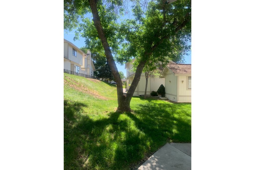 Photo of Outdoor in West University