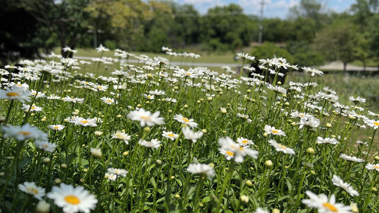 Photo of Outdoor in Radford
