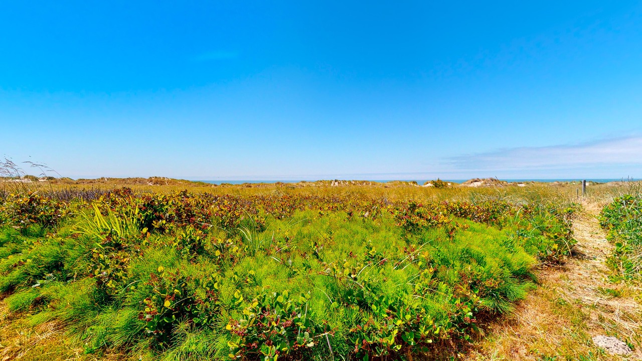 Photo of Outdoor in Manzanita
