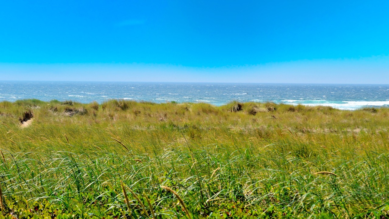 Photo of Others in Manzanita