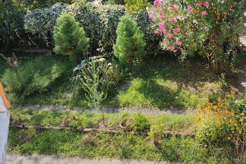 Photo of Outdoor in Zugdidi