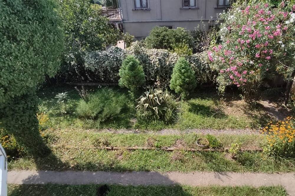 Photo of Outdoor in Zugdidi