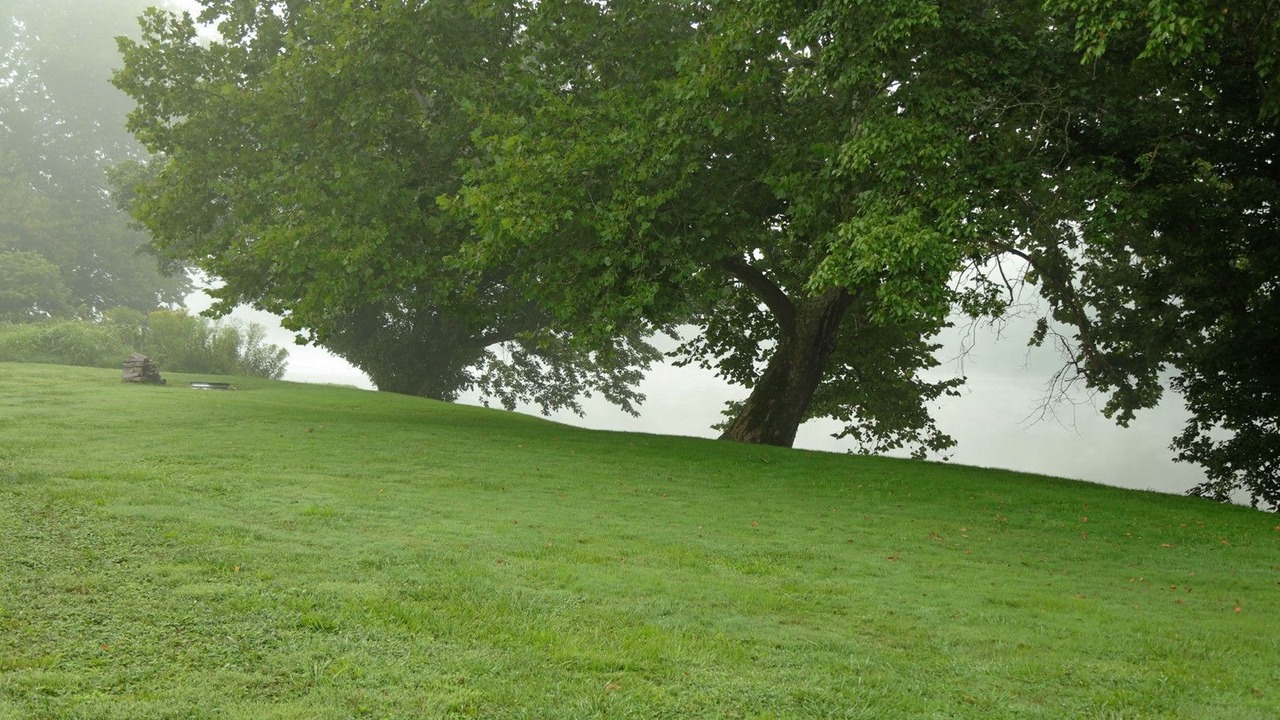 Photo of Others in Draper