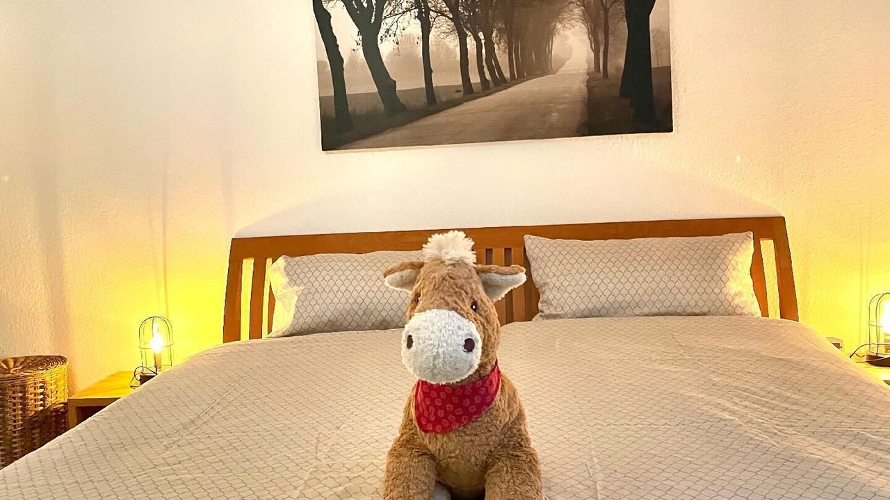 Photo of Bedroom in Burgeresch
