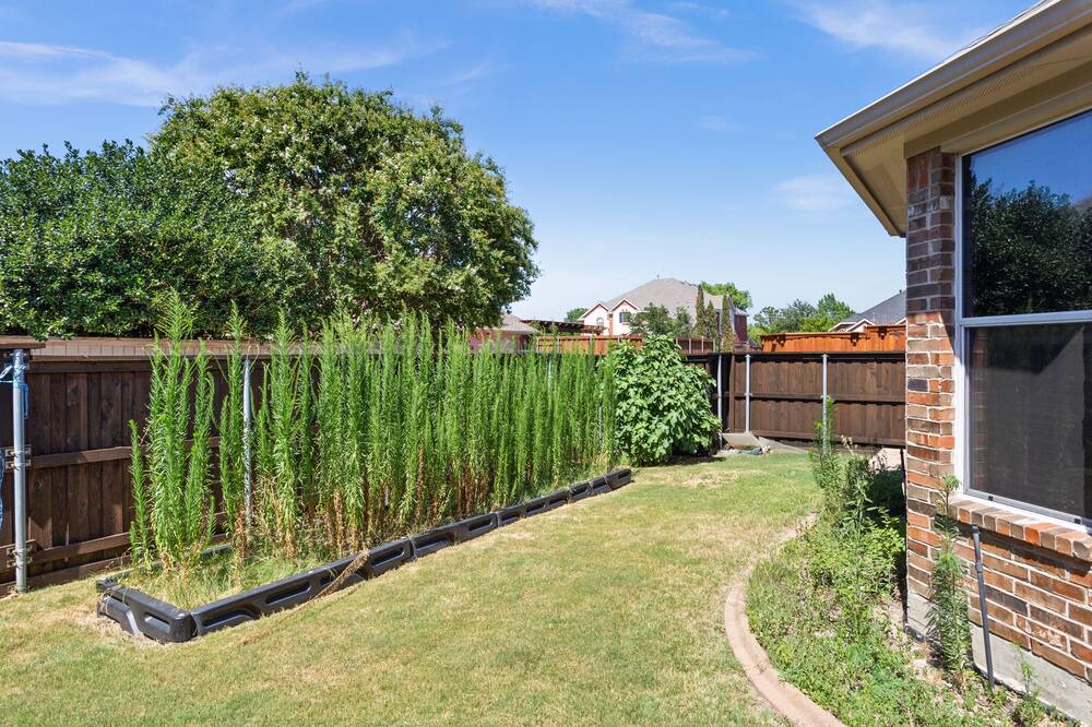 Photo of Outdoor in Allen