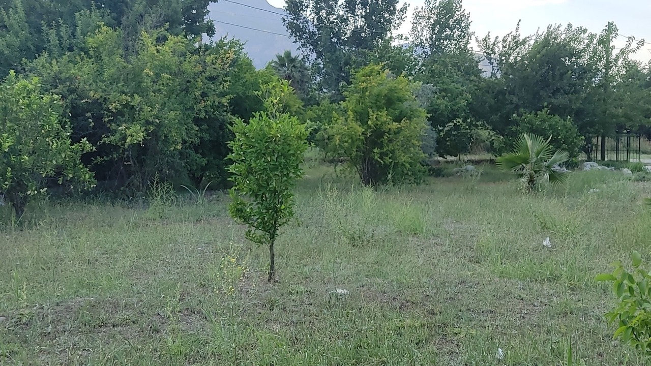 Photo of Outdoor in Beldibi