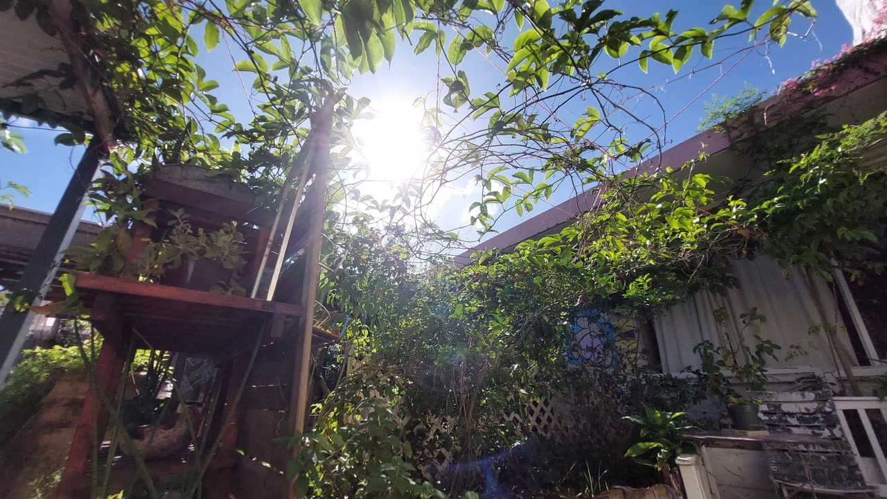 Photo of Patio Balcony in Pointe-a-Pitre