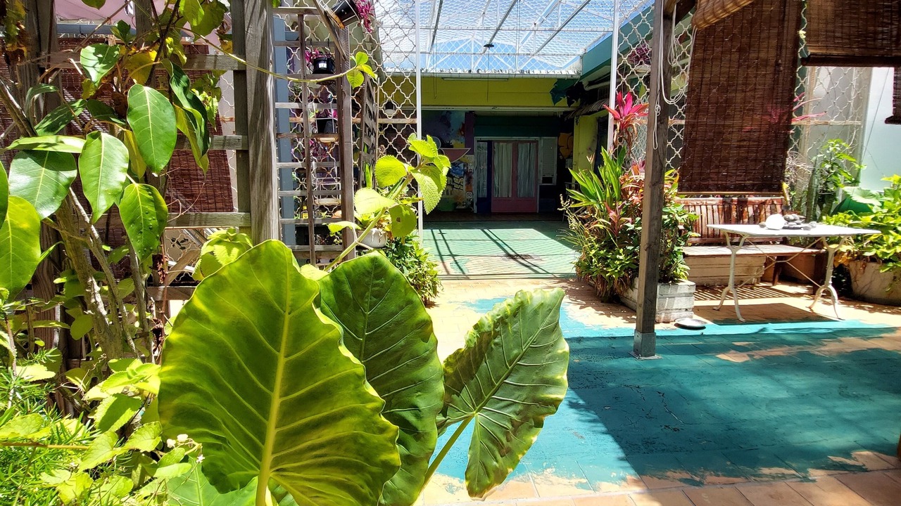 Photo of Patio Balcony in Pointe-a-Pitre