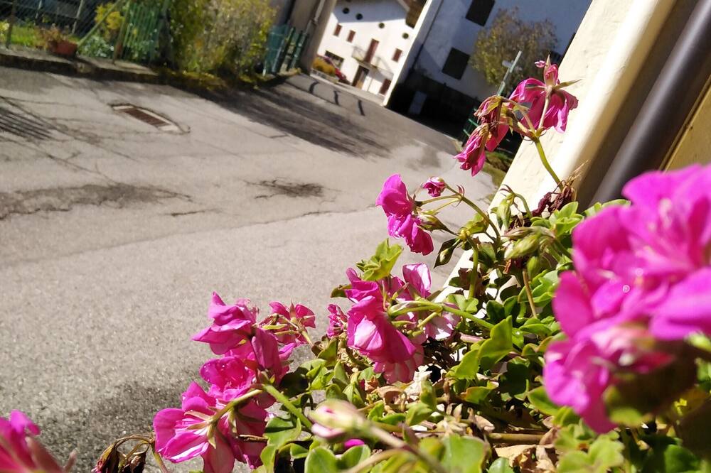 Photo of Outdoor in Gosaldo