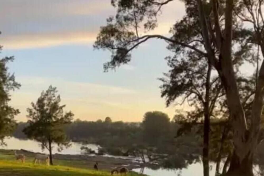 Photo of Others in Yarramundi