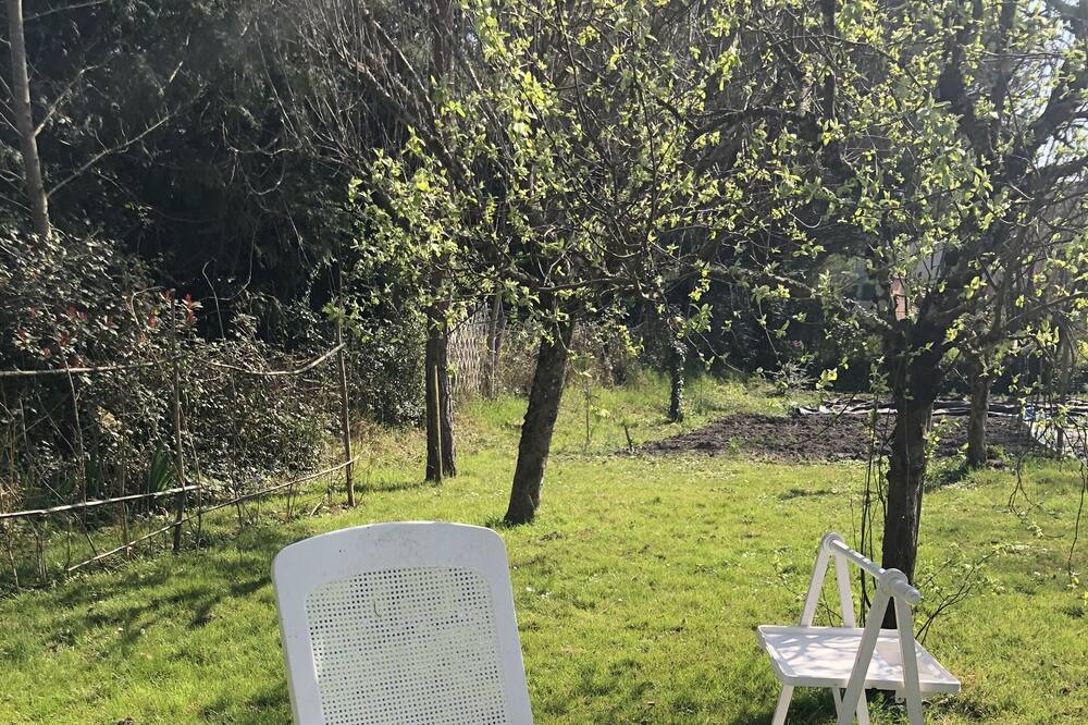 Photo of Outdoor in La Ferte-Beauharnais