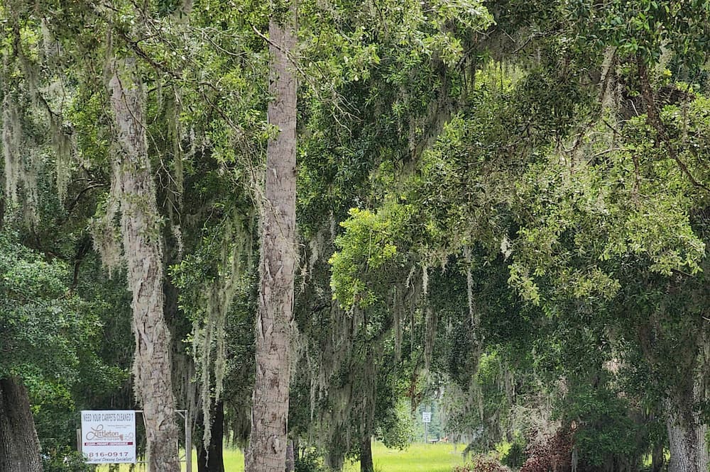 Photo of Others in Salt Springs