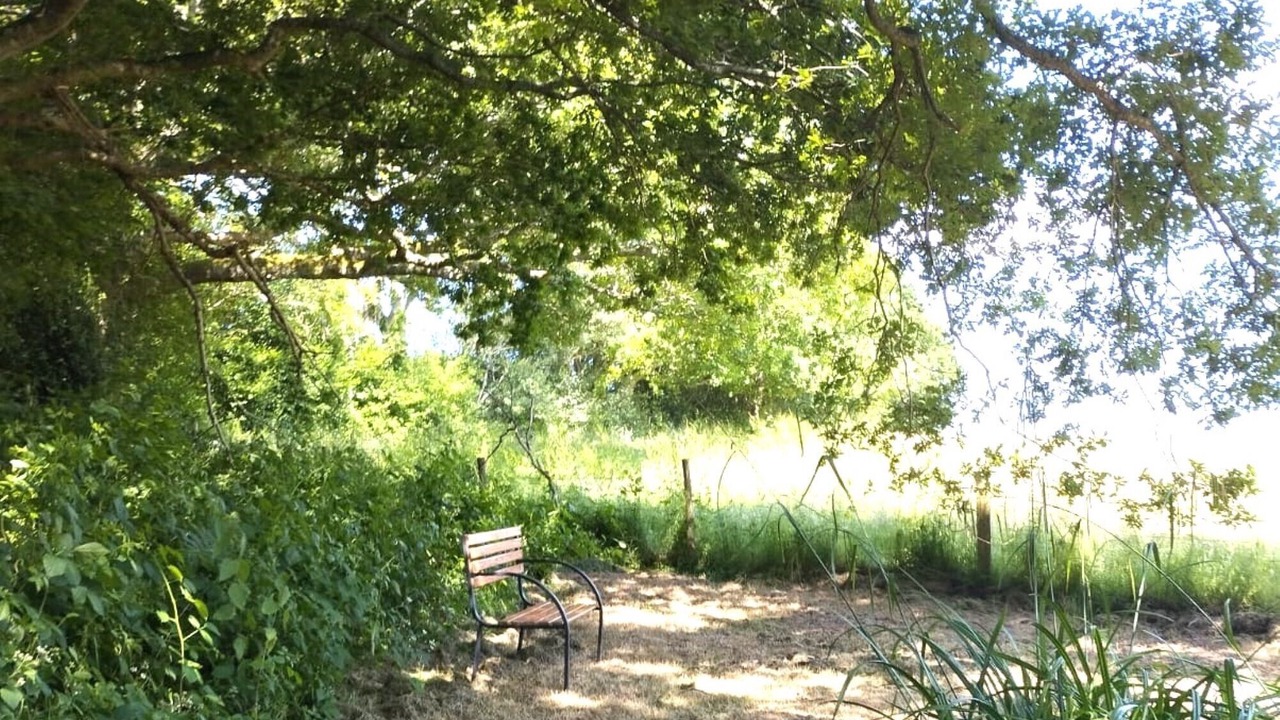 Photo of Others in Hadlow Down